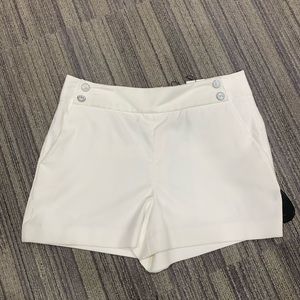 SOLD⛔️⛔️⛔️ VERÓNICA BEARD ( brand new)